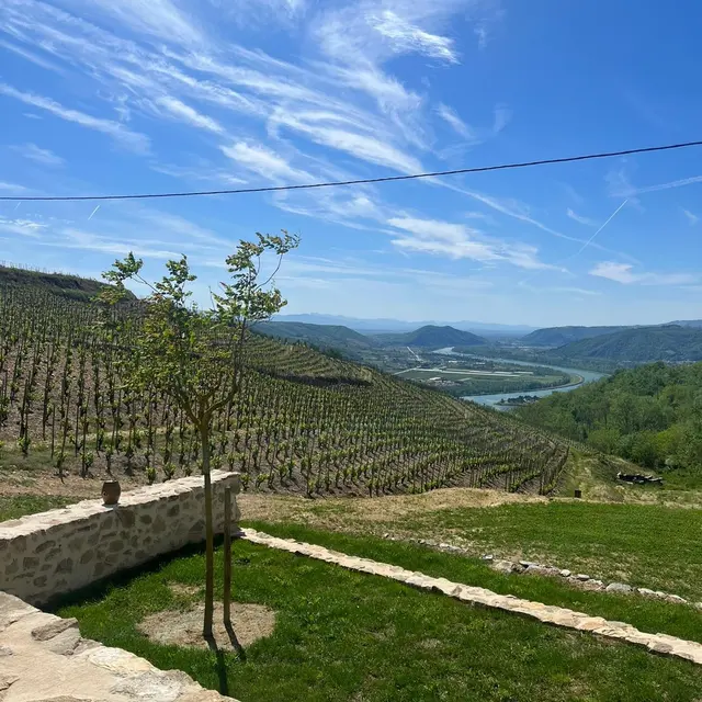 Domaine Lilian Betrand