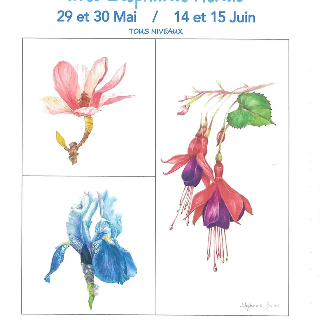 Stage d'aquarelle botanique avec Stéphanie Henao_Vaison-la-Romaine