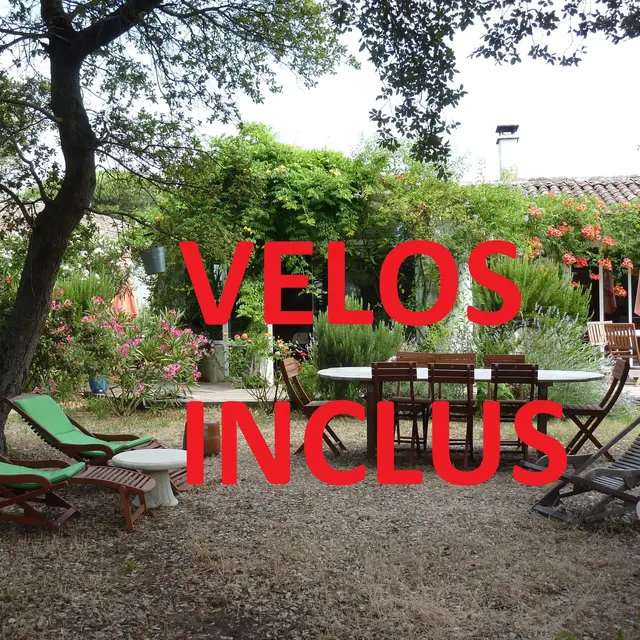 Chambres d'hôtes Les Chênes Bleus_Sainte-Marie-de-Ré