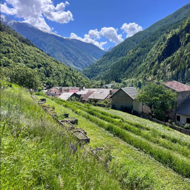 Le Conservatoire-Jardin d'Isola_Isola