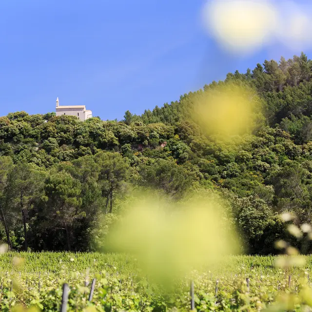 Château de Saint-Martin