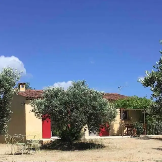 Bastidon dans les oliviers