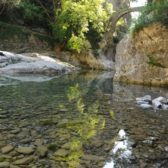 Bain du Sémite