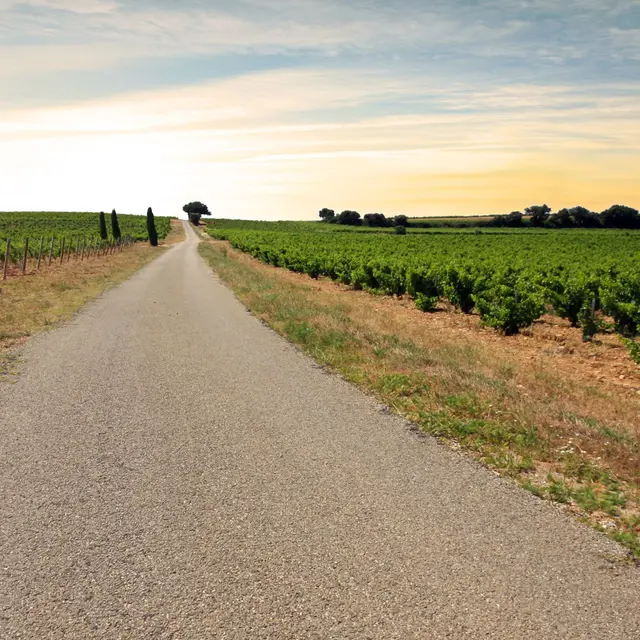 Route des Côtes du Rhône