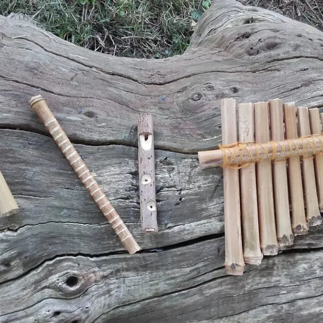 Lutherie verte, confection d'instruments de musique_Freychenet