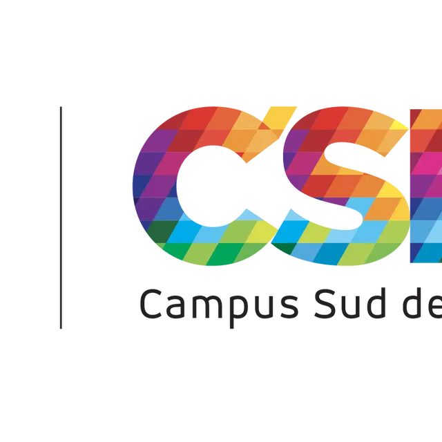 2022 LOGO CSM - INB.png