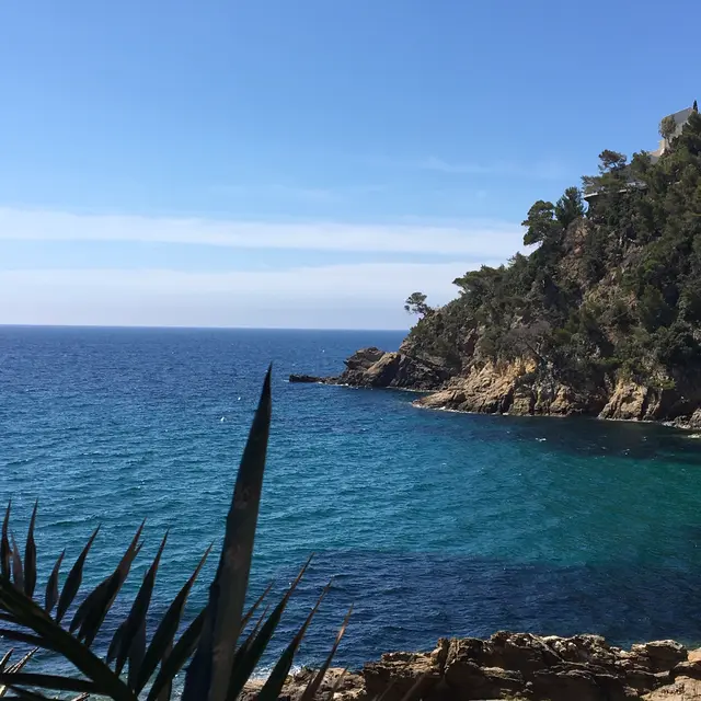 Photo générique Commerces Cavalaire