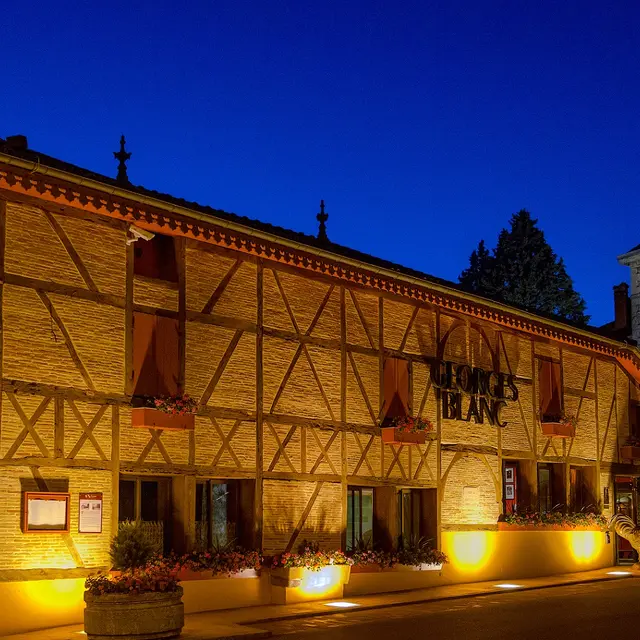 Hôtel Relais et Château Parc et Spa Georges Blanc