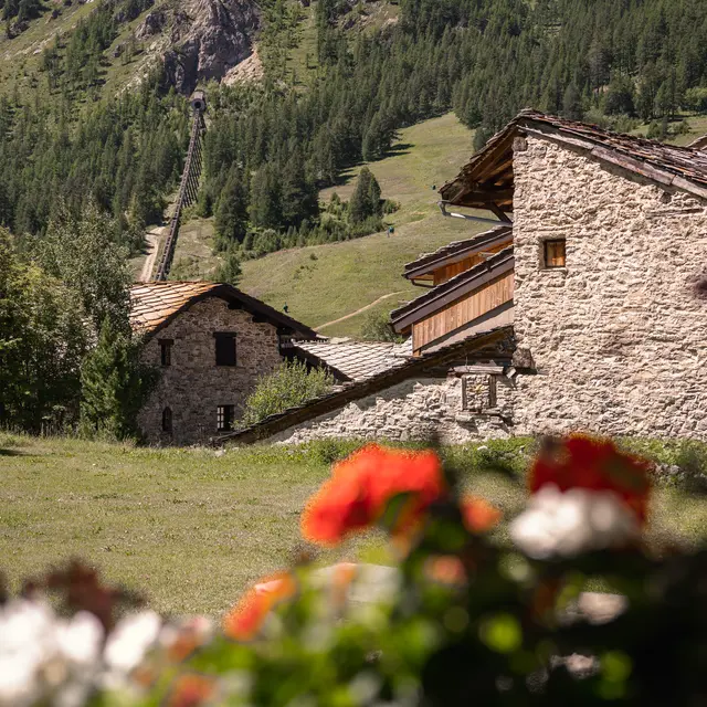 Vue extérieure été  - Chalet Le St Michel Val d'Isère
