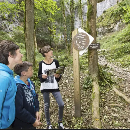 Les Forestivités - Sur les traces des arbres de la forêt des grottes de St Christophe_Saint-Christophe-la-Grotte