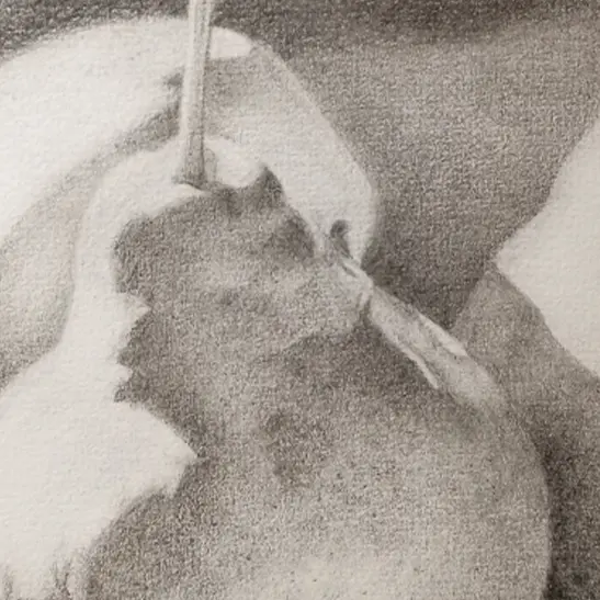 Exposition Centre social l'Arbre à Chouettes_Riorges