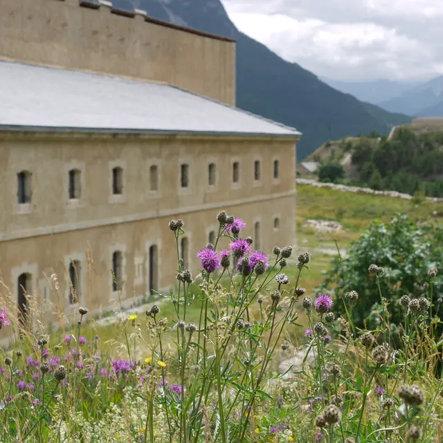 Fort Dauphin