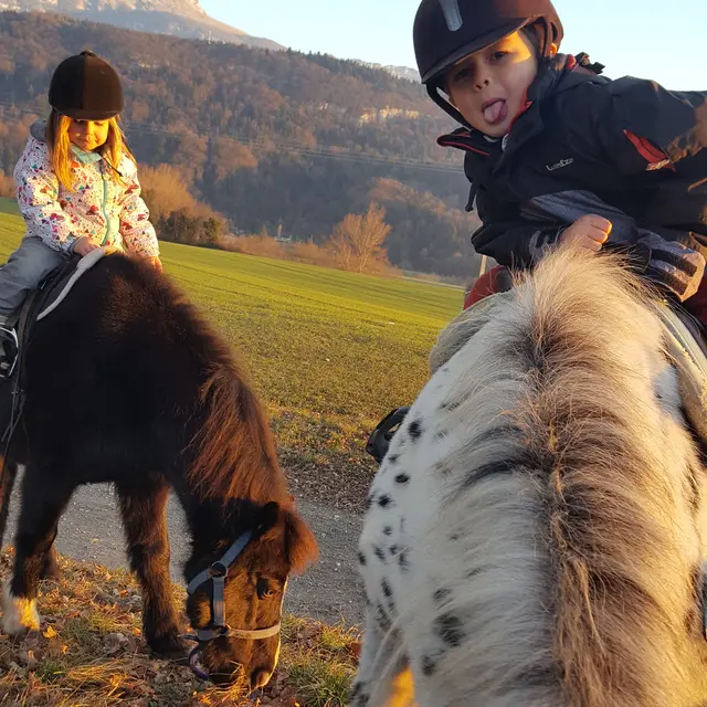 Balade poney
