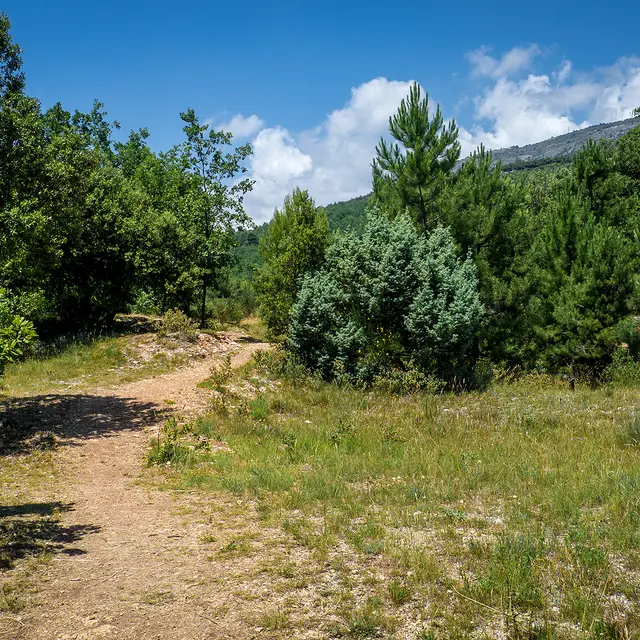 Parc de Roquevignon