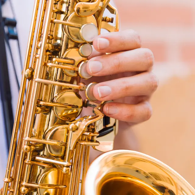 Laragne fête Noël : concert par l'Harmonie Municipale_Laragne-Montéglin