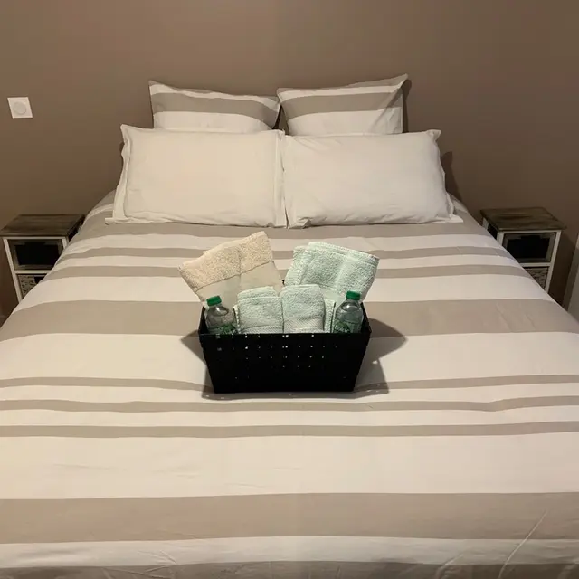 Meublé  « Le Cocon du Parc »_Châtel-Guyon