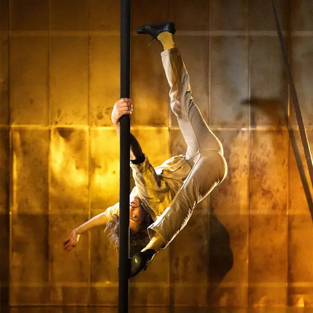 Cool de source • Cie À côté de la flaque