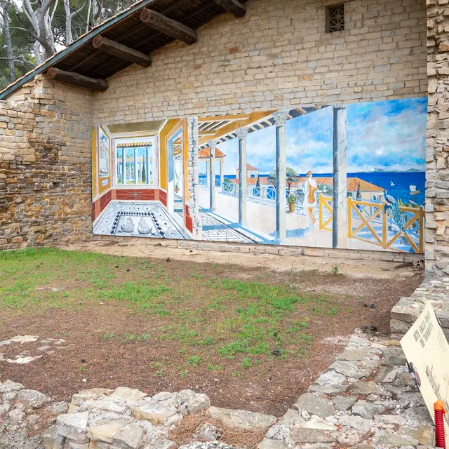 Visite guidée et conférence au Musée de Tauroentum_Saint-Cyr-sur-Mer