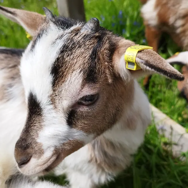 La ferme agricool
