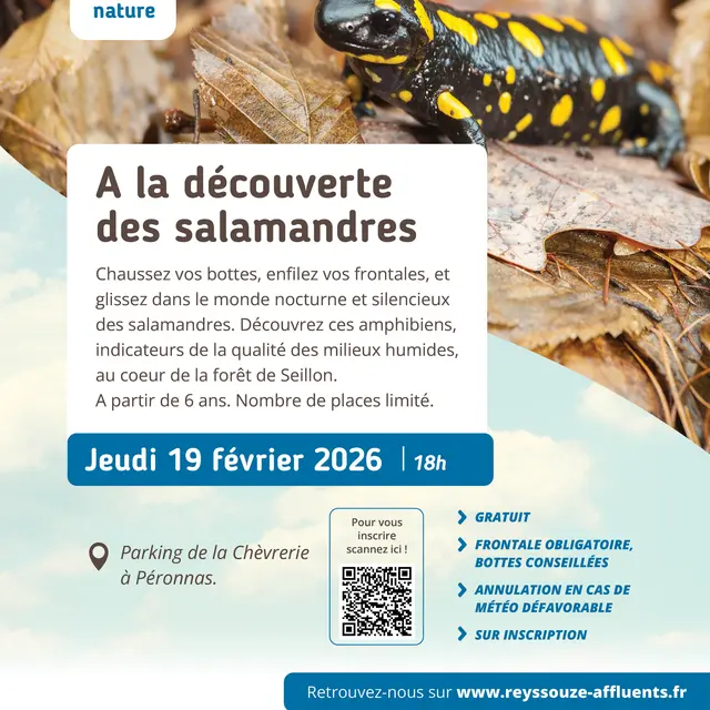 A la découverte des salmandres_Péronnas