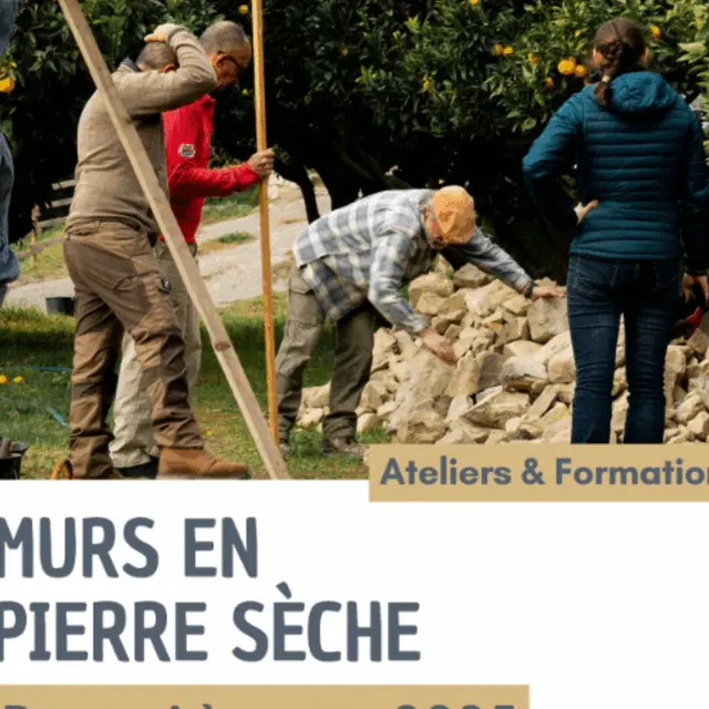 Formation à la restauration de murs en pierre sèche_Saorge