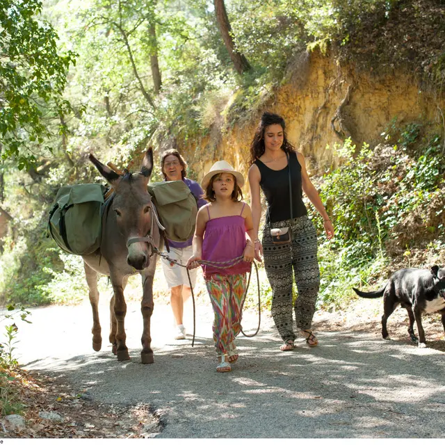 Balade avec un âne