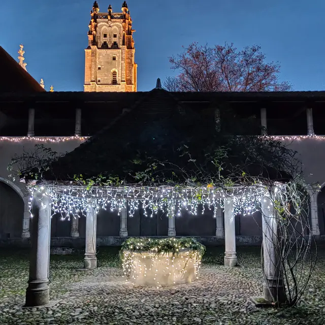 Lumières enchantées_Bourg-en-Bresse