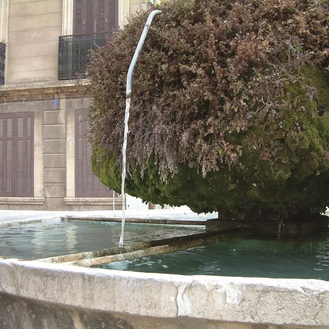 Les 16 fontaines de Saint-Zacharie_Saint-Zacharie