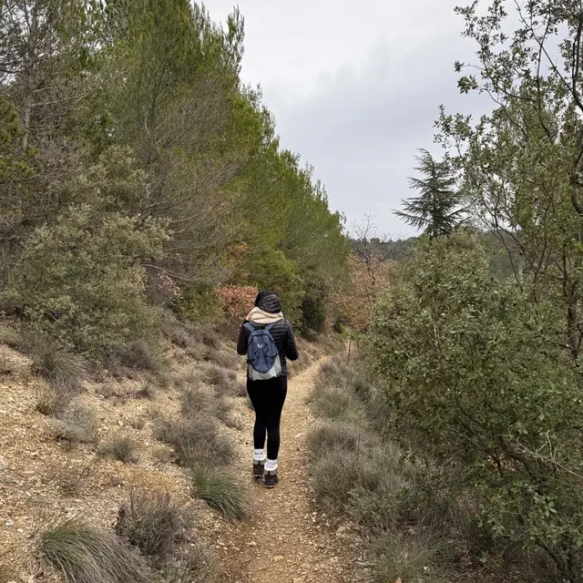 Itinéraire pédestre Sentiers de la forêt de Pélicier_Manosque