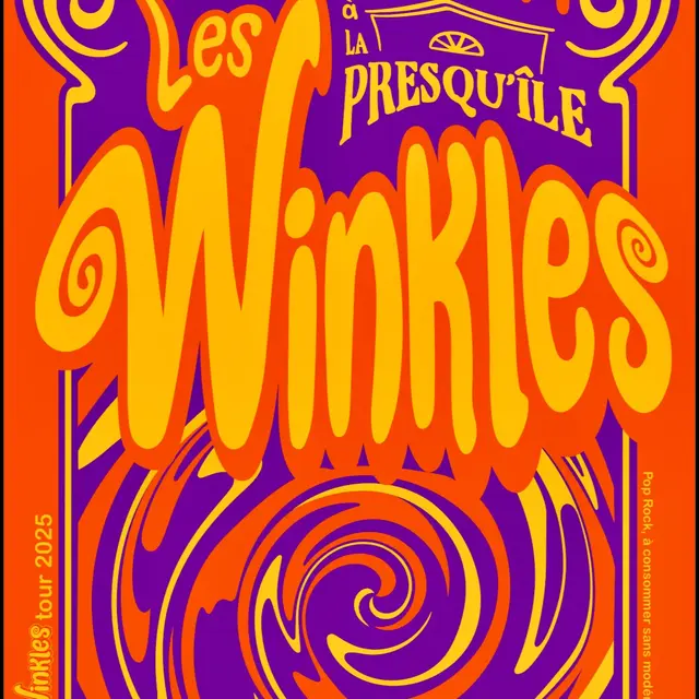 Soirée pop rock avec les Winkles_Loix