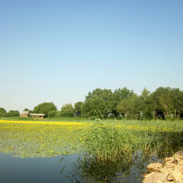 Valeins - Etang Prele