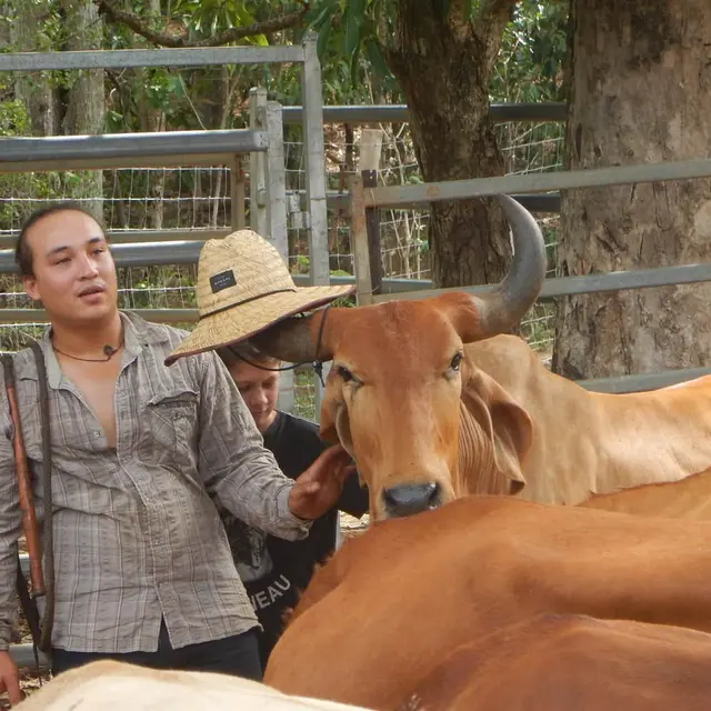 Yala Ranch