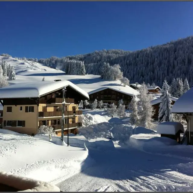 Chalet le Mélèze