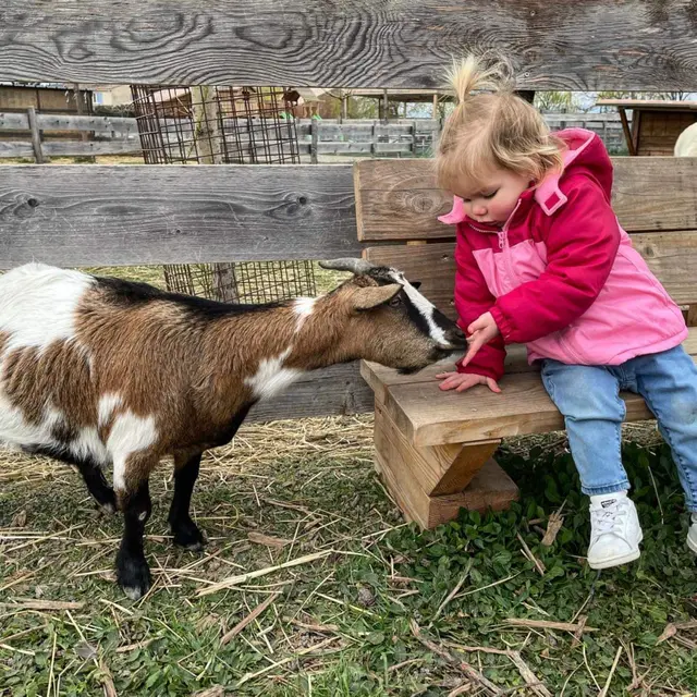 Ferme : Au bonheur des animaux_La Garde-Adhémar