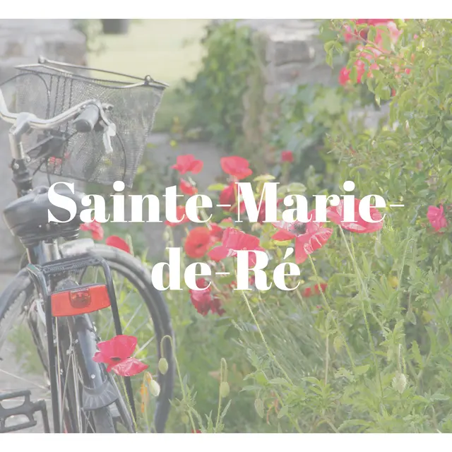 Cérémonie des vœux à Sainte-Marie-de-Ré_Sainte-Marie-de-Ré