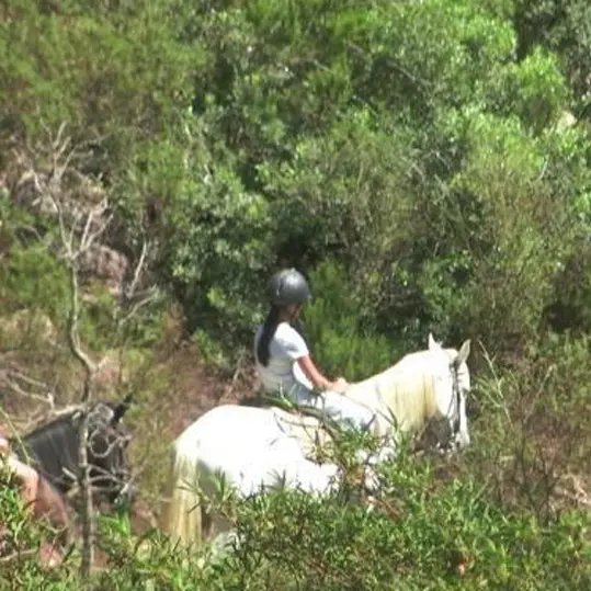 Ranch Eldorado 1