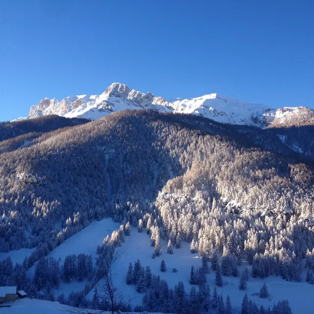 Chalet 14 personnes à Gaudissard