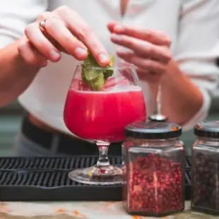 Folie(s) Végétales 2026 - Atelier mixologie végétale_Thonon-les-Bains