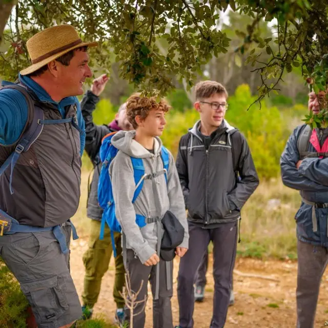 Balade nature commentée : promenons nous dans les bois_Le Val