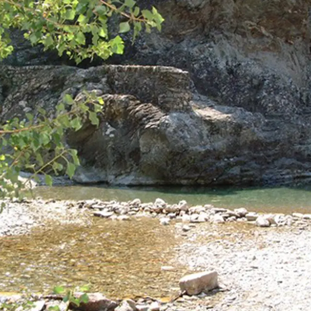 Galeizon