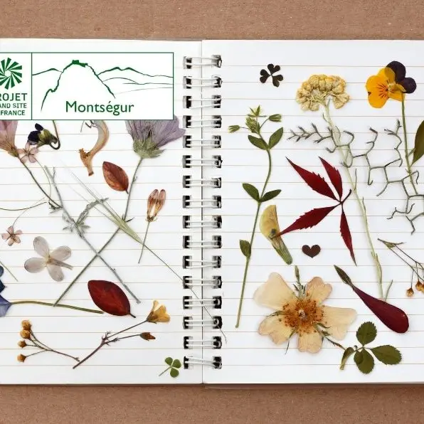 Reconnaître les arbres et faire son herbier_Ilhat