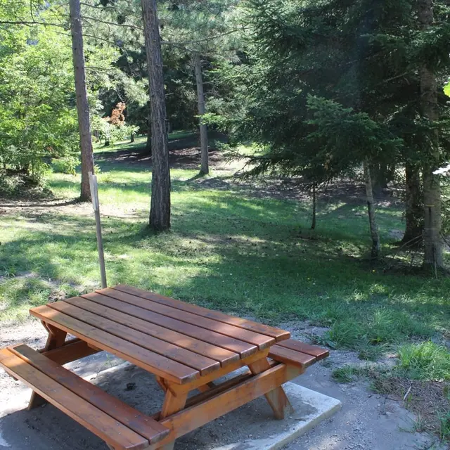 Parcours forestier_Le Brusquet