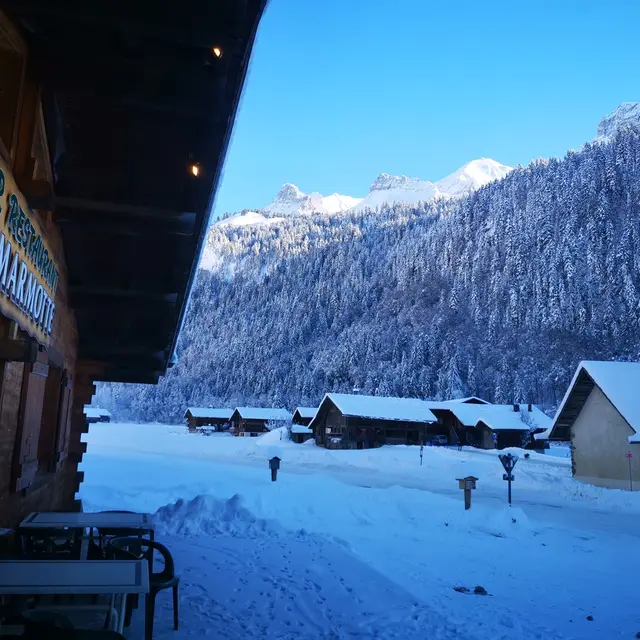la marmotte