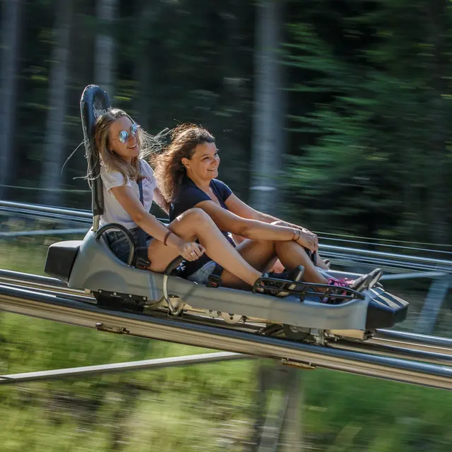 Luge sur rail des Carroz