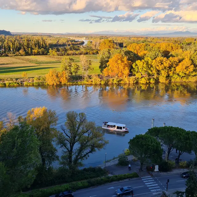 Navette fluviale Avignon