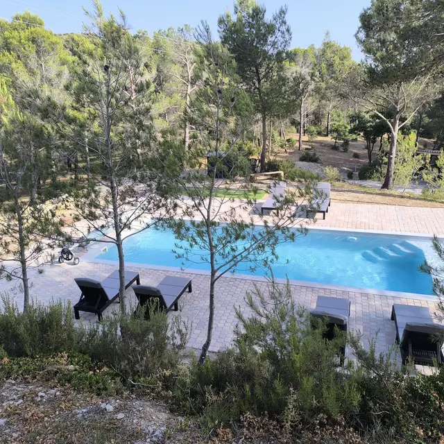 Écrin de nature sous les pins_Aurons