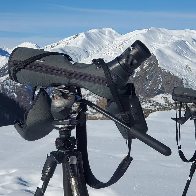 Découverte en direct du Gypaète barbu et sensibilisation au risque avalanche