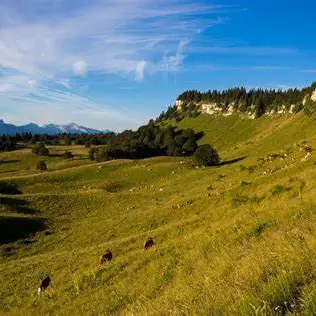 Alpage et ferme