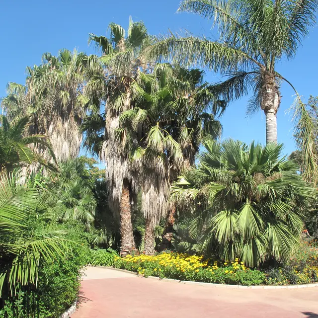 Parc Olbius Riquier Hyères jardin remarquable