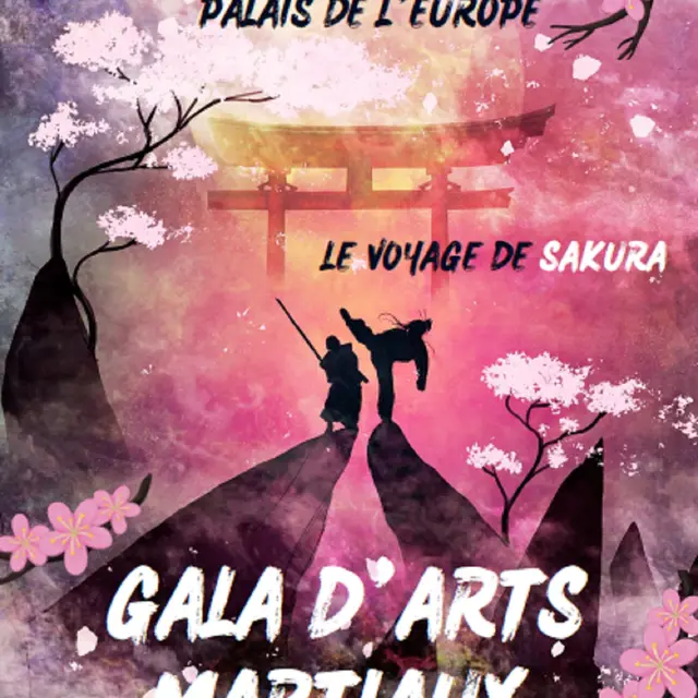 Gala Arts Martiaux_Menton